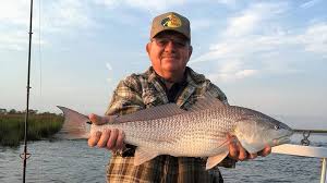 Image result for Brachyachne simonsii