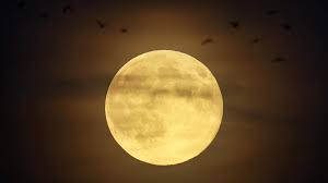 La superluna del Castor, un desfile planetario y lluvias de estrellas: estos son todos los eventos astronómicos de noviembre