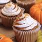 Fall Cupcake Decorating event image