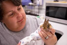 Summer Hours: Eileen McIlhagga