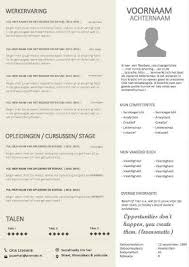 Curriculum Vitae Voorbeeld