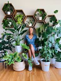 Plant 3