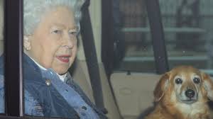 Queen Elizabeth dead: How corgi love affair started
