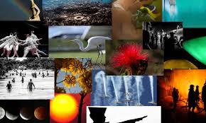 Vale lembrar, no entanto, que o cinema brasileiro também é celebrado no dia 5 de novembro, em homenagem à. Imagens Ebc Com Br Qlxzpymn N9057x3rnuzv4t7p 8