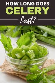 How Long Does Celery Last Insanely Good