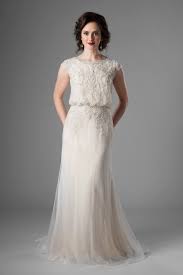 Robinette Modest Wedding Dresses Wedding Dress Styles Wedding Dresses Strapless