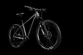Radon Bikes 2018 Enduro Bike Jab Trail Hardtail Cragger Jealous Al Bonn
