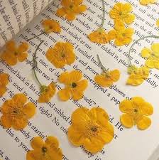 A fuzzy select is a tool in gimp that selects a. Yellow Wallpapers On Tumblr