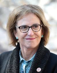 Wendy Rogers (politician)