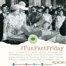We did not find results for: My Rubber Board On Twitter Hai Semua Info Menarik He Vea Nak Share Hari Ini Adalah Pada 25 Februari 1972 Ratu Elizabeth Ii Telah Mengadakan Lawatan Rasmi Ke Pusat Penyelidikan Getah Sg Buloh