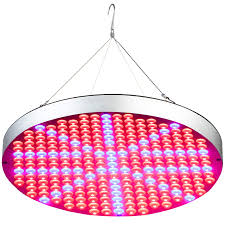 Check spelling or type a new query. 50w Led Plant Grow Lights Shengsite Ufo 250 Leds Indoor Plants Growing Light Bulbs With Red Blue Spectrum Hydroponics Plant Hanging Kit For Germinationvegetative Flowering Amazon Com Au Garden