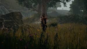 PUBG - PlayerUnknown's Battlegrounds Screenshots Image #11001 -  XboxOne-HQ.COM
