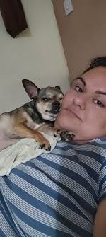 Took Bree to the vet yesterday for a check up and when I asked what could  have caused it she told me that I have a breed that are prone to seizures.