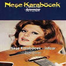 He is widely recognised as a leading literary figure of pakistan. Nese Karabocek I Ntizar Sarki Sozleri Kurumsal Cevirce