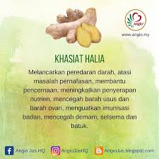 Apa saja khasiat air kelapa hijau. Khasiat Halia Angio Jus Kolesterol Dan Jantung