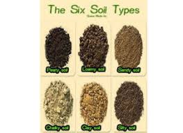 We did not find results for: Top Tips For Great Topsoil Garden Topsoil Direct
