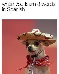 When You Learn 3 Words In Spanish Funny Relatable Memes Funny Dog Memes Dog Memes