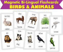 But first we need to know what the role of nouns is in the structure of the grammar in hindi. Buy Mfm Toys Birds Animals Bilingual Hindi English Magnetic Flashcards Online At Low Prices In India Amazon In