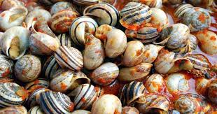 Qual è la migliore ricetta per cucinare il. Cozze Di Terra O Cuzziddhi Orgoglio Salentino
