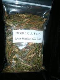 A Healing Tea For Your Immune System Devils Club Tea From The Forests Of Southeast Alaska From Laughing Berry Bota Healing Tea Salve Recipes Nettle Recipes