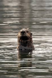 Profile for Karenfoleyphotography