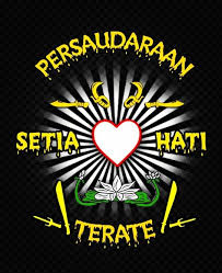 Setiap bulannya, yazmina melakukan ritual yang dinialinya 'sakral' dengan membalurkan darah haid ke wajahnya. 51 Ide Psht Di 2021 Seni Bela Diri Pencak Silat Bunga Teratai