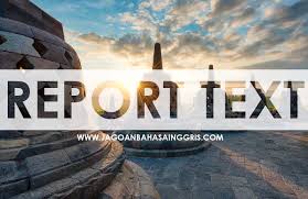 Soal report text smp kelas 8. 20 Soal Latihan Report Text Dalam Bahasa Inggris Jagoan Bahasa Inggris