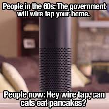 It could also be that the bat is young, injured, or that doesn't mean they won't as given the chance a cat will eat any meat it's offered, but generally cats eat things they are given to eat or things they can. Spotted This One Terriblefacebookmemes
