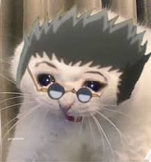 See more ideas about anime, hunter x hunter, hunter anime. Leorio Cat Pfp Meme Funny Anime Pics Hunter Anime Anime Kitten