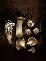 While a small amount of mushrooms may not harm your cat, certain varieties are incredibly toxic so it is better to be safe than sorry. Mixed Mushrooms Enoki Oyster Shitake Stuffed Mushrooms Food Photography Inspiration Photographing Food