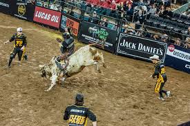 American bull riding has been called the most dangerous eight seconds in sports. to receive a score, the rider must stay on top of the bull for eight seconds with the use of one hand gripped on a bull rope tied behind the bull's forelegs. How To Make A Bucking Bull Good Breeding And Just Maybe A Cow S Love The New York Times