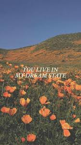 Background aesthetic pastel wallpaper aesthetic backgrounds architecture art and architecture architecture wallpaper stunning wallpapers light in the dark this is a book full of aesthetics. Vintage Style Vintage Aesthetic Landscape Wallpaper