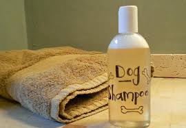 A diy dog shampoo is one way you can avoid these nasty ingredients and make organic, safe, and wholesome shampoos. Dog Shampoo Diy Simple Recipes Dog Is World