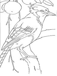 Print all of our coloring pages for free! Blue Jay Coloring Pages Download And Print Blue Jay Coloring Pages