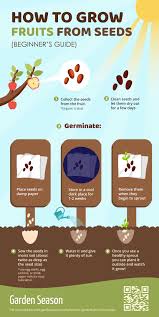 But with peaches, nectarines and apricots, you can cut your cost to zero by growing fruit trees from seeds. How To Grow 17 Fruits From Seeds Infographic