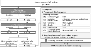 Flow Chart For Genetic Tests Selection Of Patients And