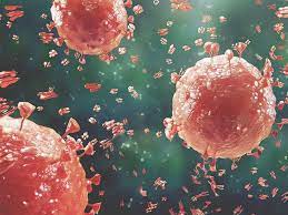 What Is A Pathogen 4 Types And How They Spread Disease