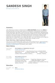 Animation Resume samples - VisualCV resume samples database