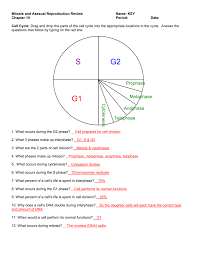 Again, significant biosynthesis occurs during. Mitosis Asexual Reproduction Review Answers
