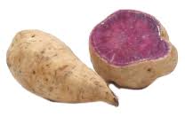 First tongan umc petani, sun valley, nevada. Online Edible Plants Sweet Potato To Yam