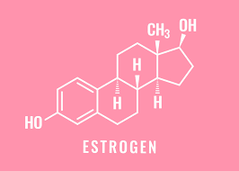 Image result for Estrogen