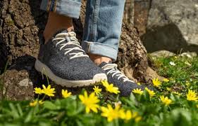 Icebug Tenis de lana EIDE RB9X para mujer, Gris oscuro, 8.5 US :  Amazon.com.mx: Ropa, Zapatos y Accesorios