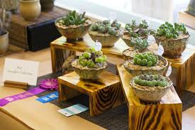 Many people think that cacti and succulents require a small amount of water every once in a while. Cactus Succulent Show Sacramento