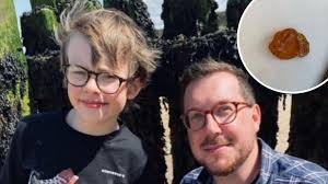 Family finds 'biggest piece of amber in years'