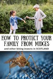 Last week it was revealed that scotland has a previously unrecorded species of midge. How To Avoid Midges In Scotland The Complete Guide Scotland Tourist Attractions Scotland Perfect Vacation