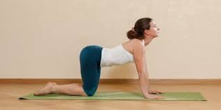 I was already on top of the world as a wrestler. Dallas Yoga Center Read Reviews And Book Classes On Classpass