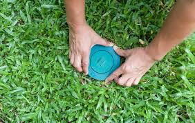 Get a free pest control quote or lawn analysis from heron today! Termite Inspection 101 Edc Professional Home Inspections