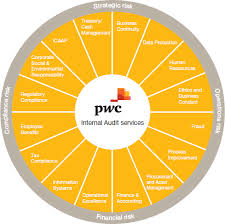 Pwc Internal Audit Services Risk Framework Internal