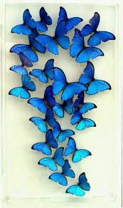 Maybe you would like to learn more about one of these? Tattoo Butterfly Blue Wings 31 Ideas