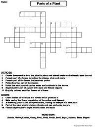 We did not find results for: Parts Of A Plant Worksheet Crossword Puzzle By Science Spot Tpt